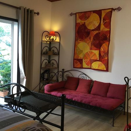 Mas Soleil Et Vignes Bed & Breakfast Saint-Hippolyte  Екстериор снимка