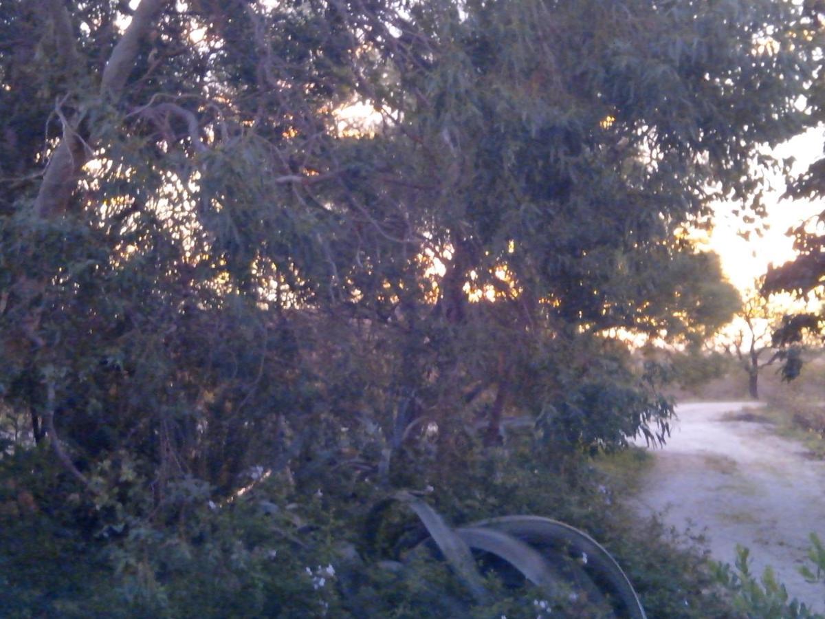 Mas Soleil Et Vignes Bed & Breakfast Saint-Hippolyte  Екстериор снимка
