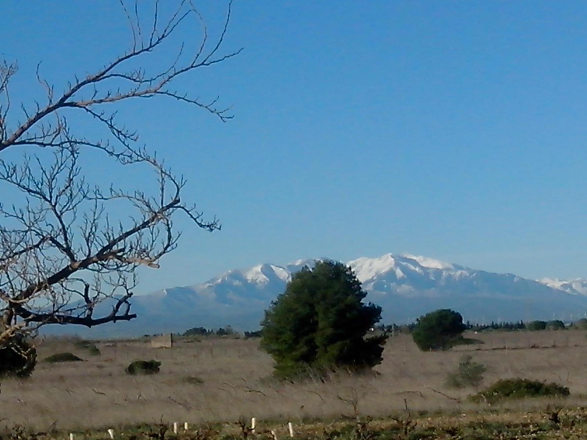 Mas Soleil Et Vignes Bed & Breakfast Saint-Hippolyte  Екстериор снимка
